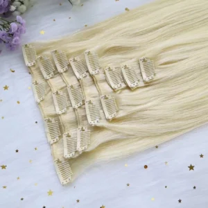 Clip Ins (Blonde)